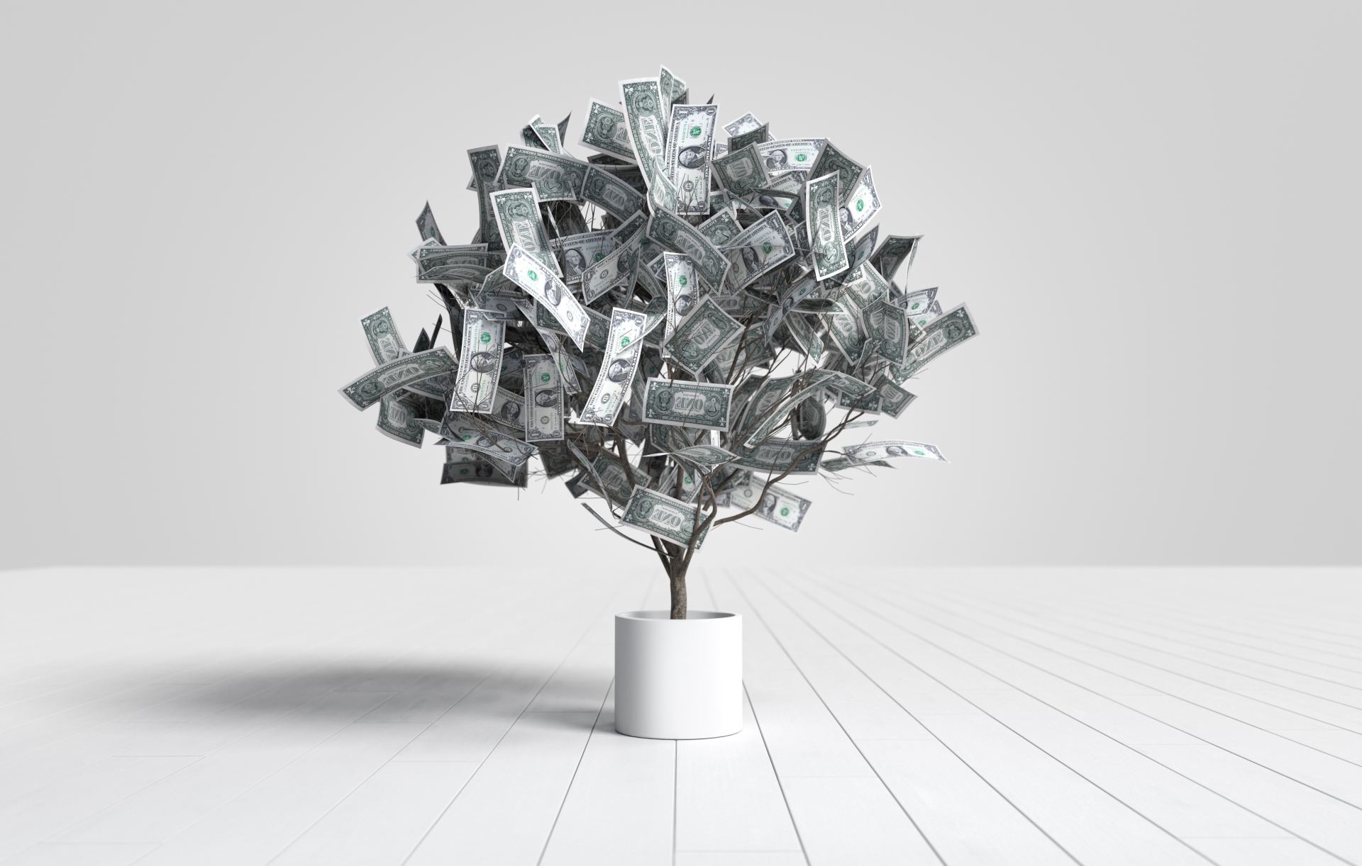 Wealth Management